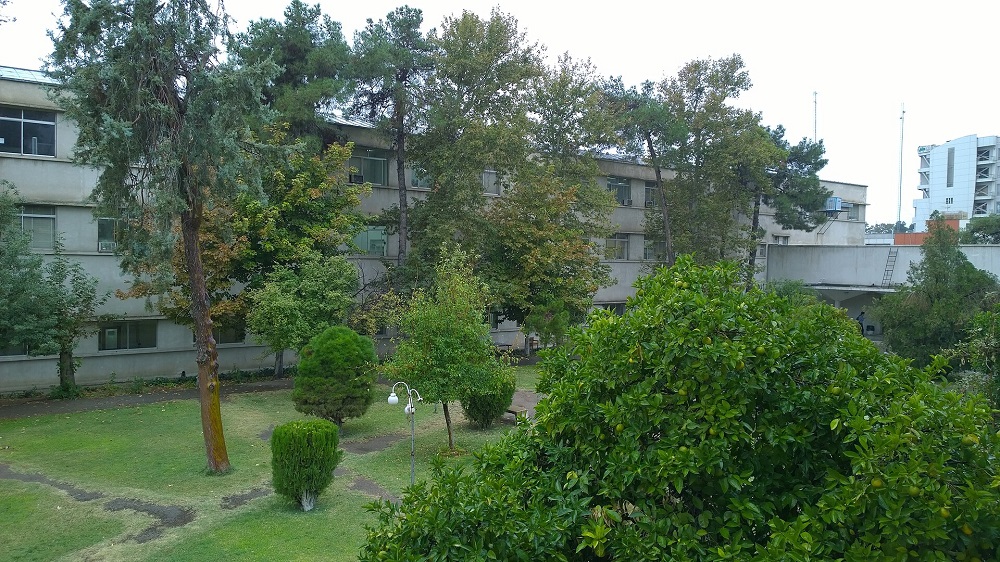 نمای دانشگاه شیراز